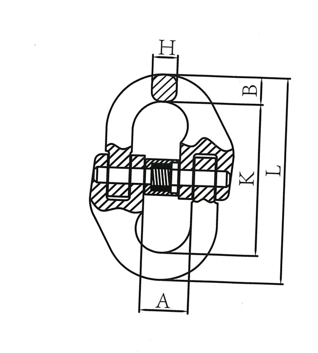 OEM G80 Self-Locking European Type Connecting Link/Hook