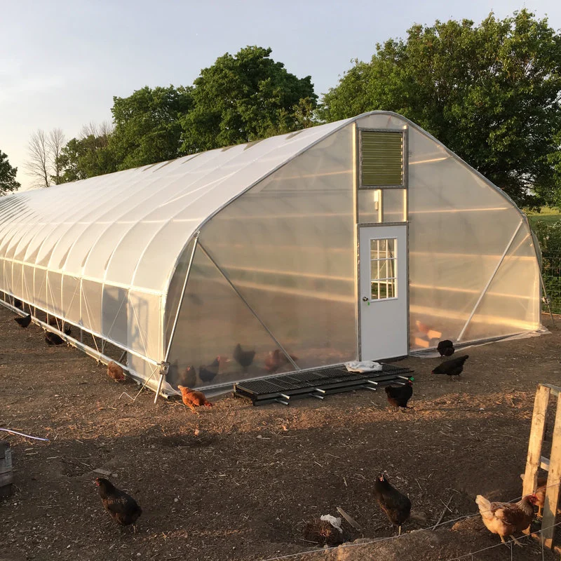 China Single Span Tunnel Greenhouse Made Used for Agriculture