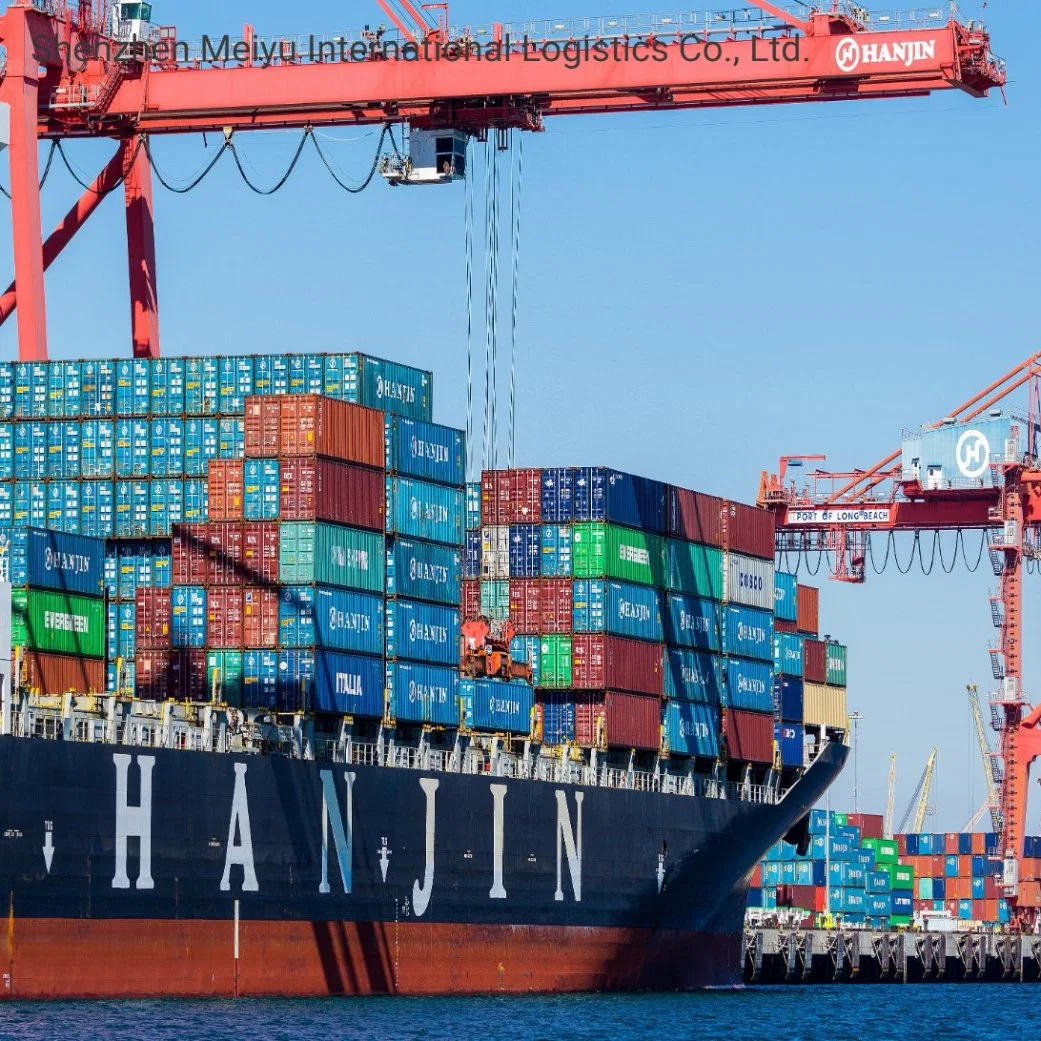 Container Shipping Sea Freight From China to Dubai