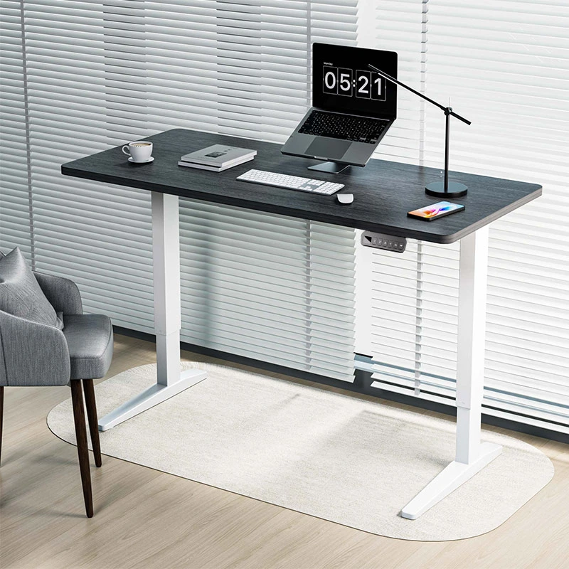 Sit Stand Office Home Standing Desk Electric Height Adjustable Desk