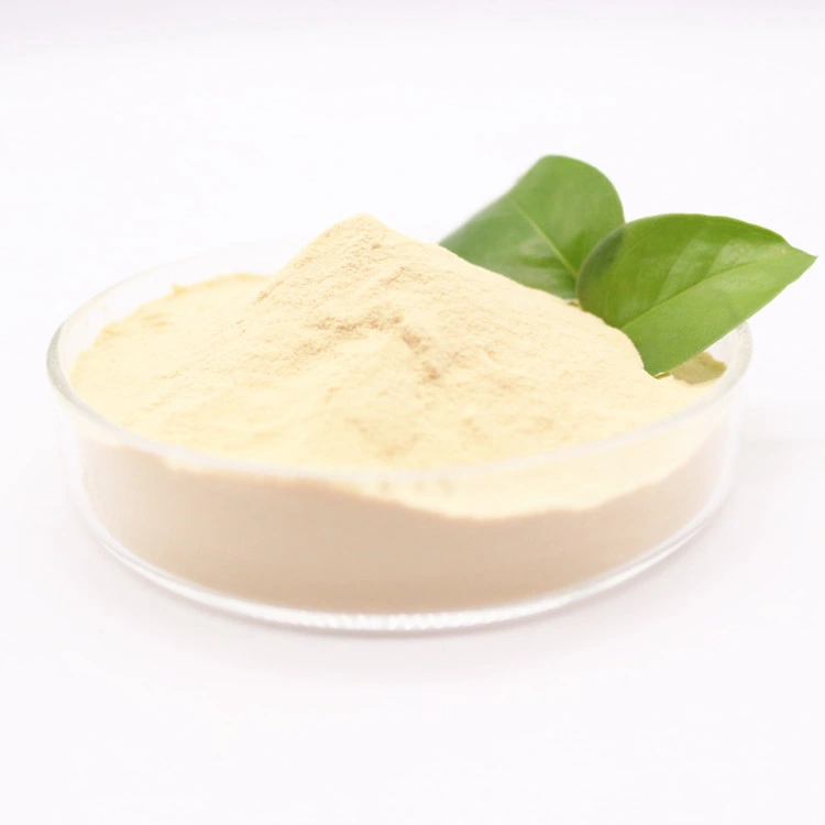 Hot Sale Amino Acid Fertilier