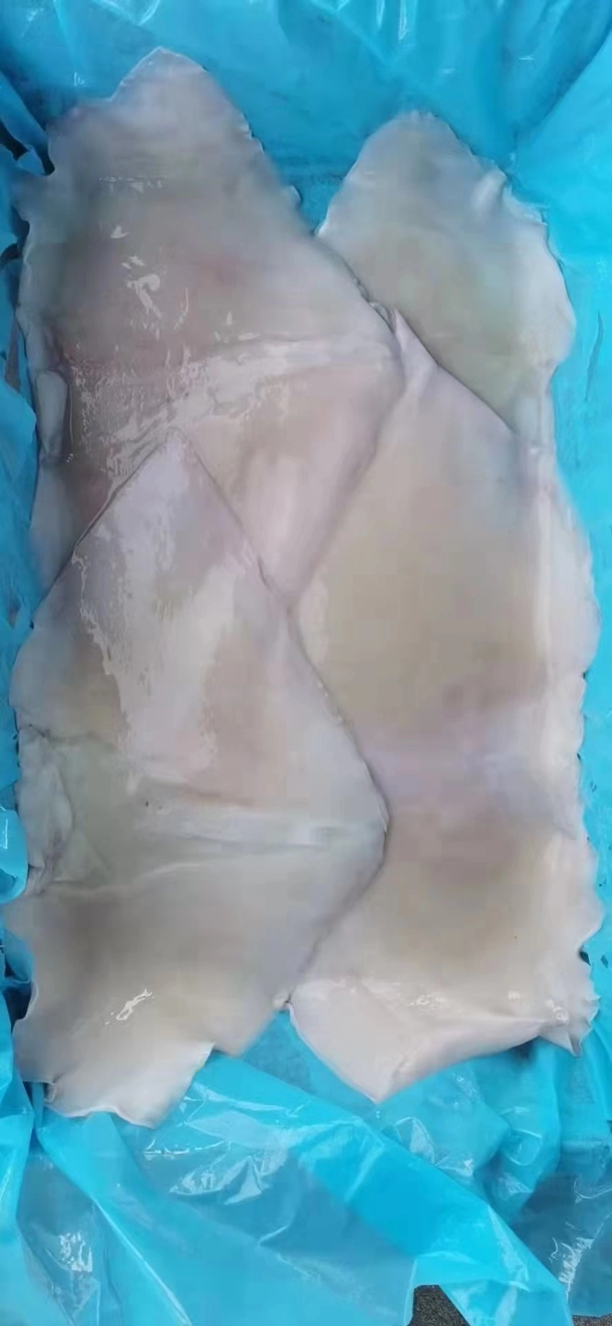 Ala calamar congelado sin piel /Ala gigante/Ala Illex/congelado Marisco