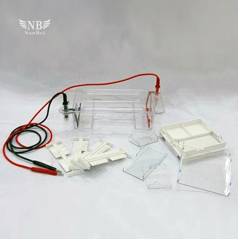 High quality/High cost performance  DNA Testing Electrophoresis Apparatus