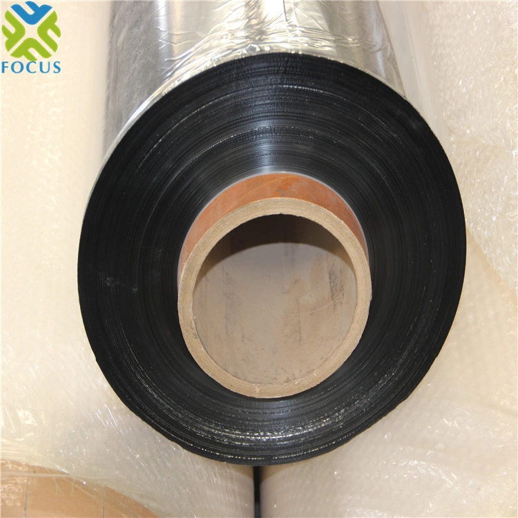 OEM Plastic Pet Film Plastic Packaging Film Metallized Polyester Film