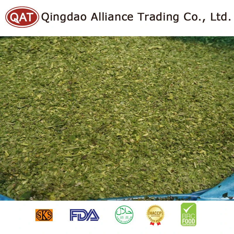 High quality/High cost performance  IQF Vegetables Frozen Green Basil with Wholesale/Supplier Price for Exporting