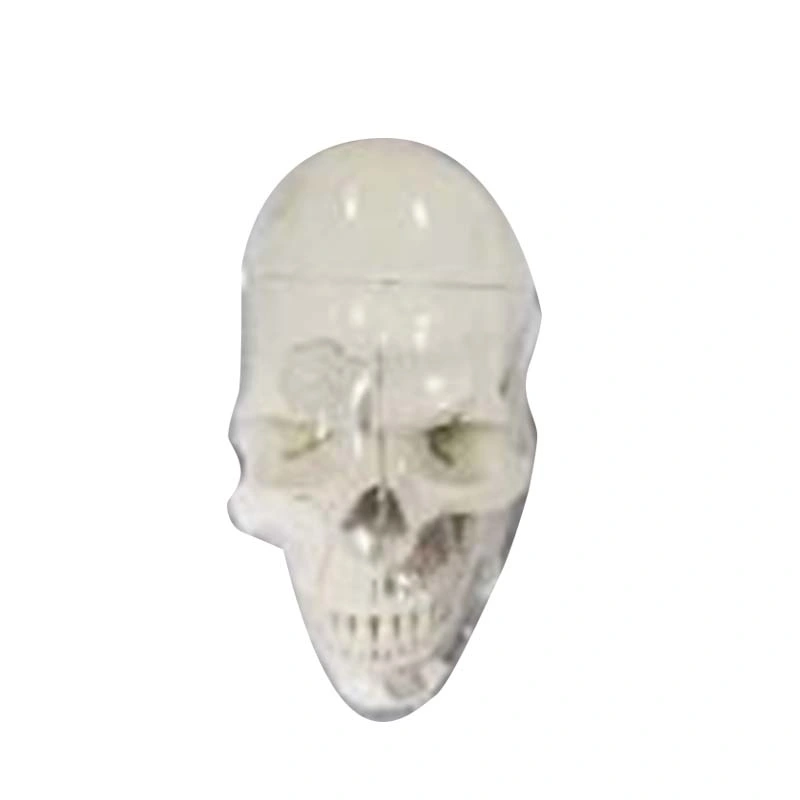 10 Parts Skull Anatomical Demonstration Model with Sinuses