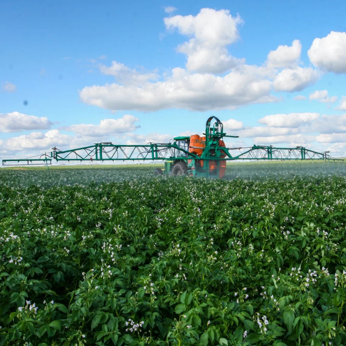 Landwirtschaftliche Spritzmaschine Landwirtschaftliche Maschine Gute Zerstäubung Wirkung Spraying Kartoffelsprüher