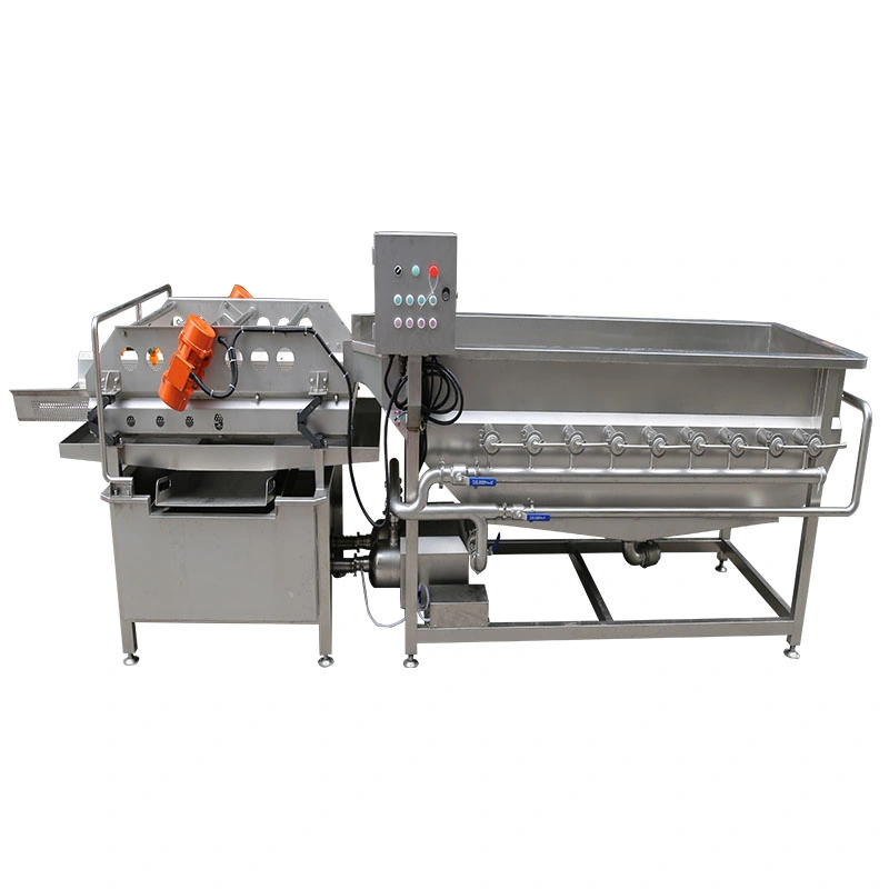 Vegetable Fruit Washing Cleaning Machine for Food Processing Center