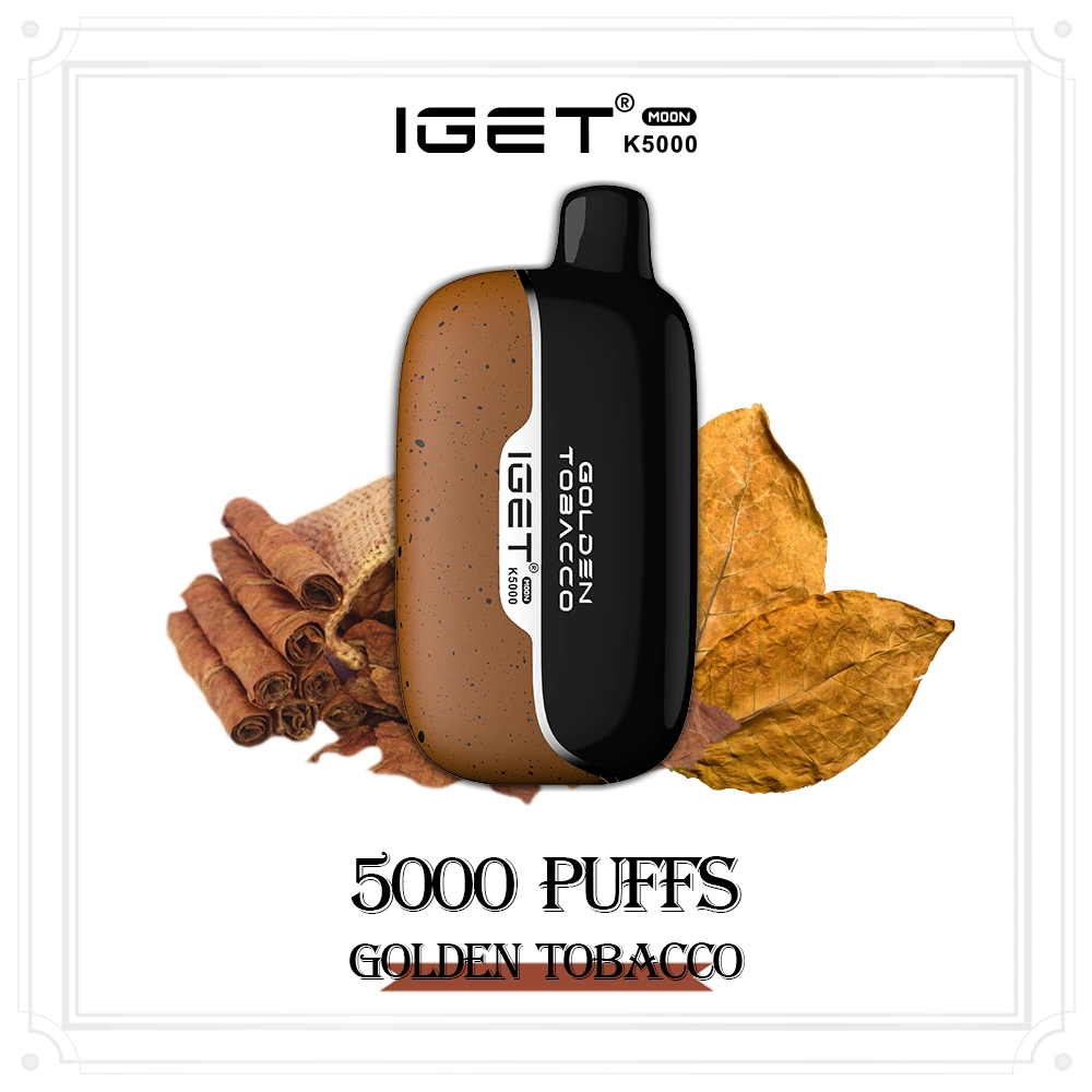 Iget lune jusqu'à 5000bouffées Ecig de vapeur de gros Hot Sale Vape jetables