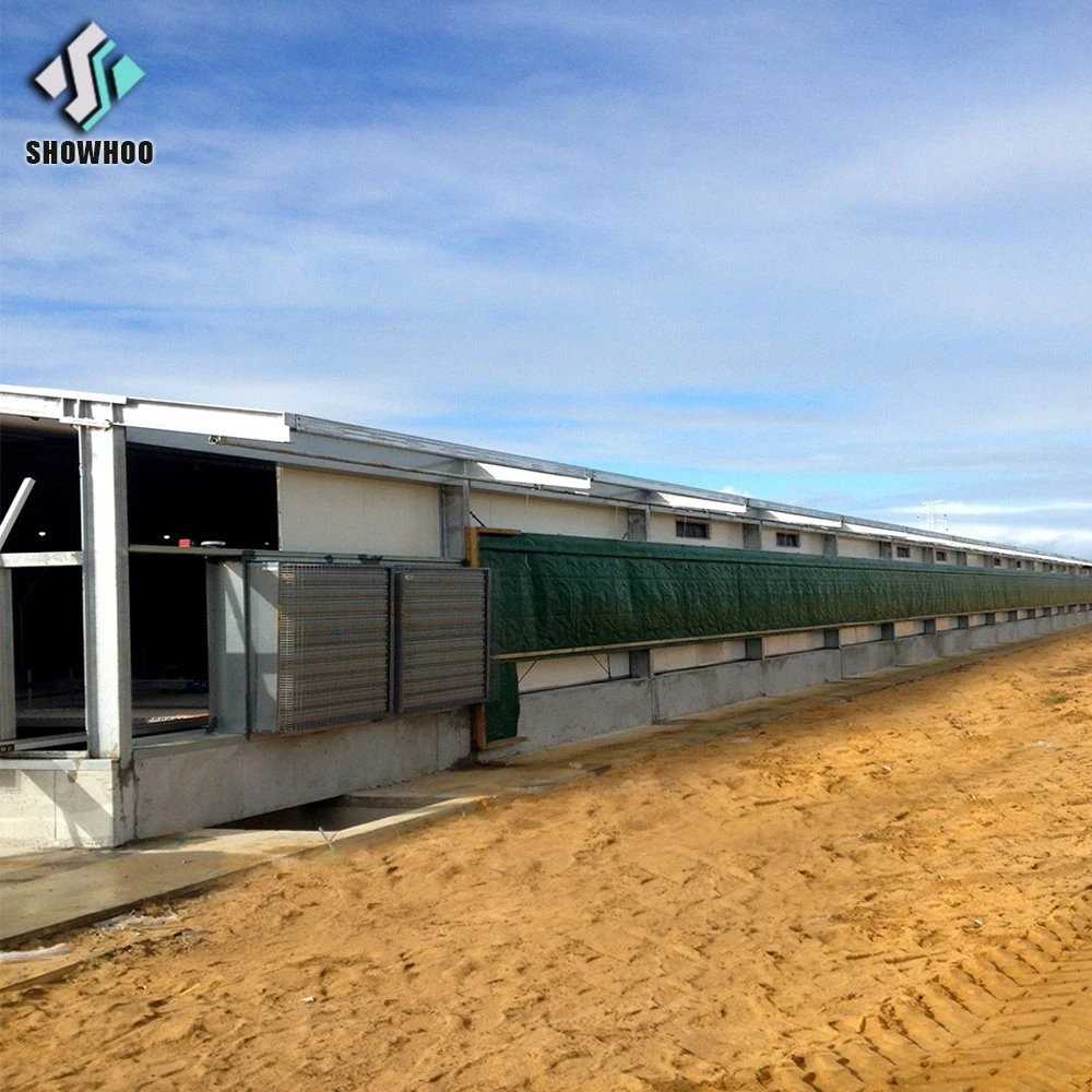 Casas de la cría de aves de corral pollo galpón Estructura de acero para incubar