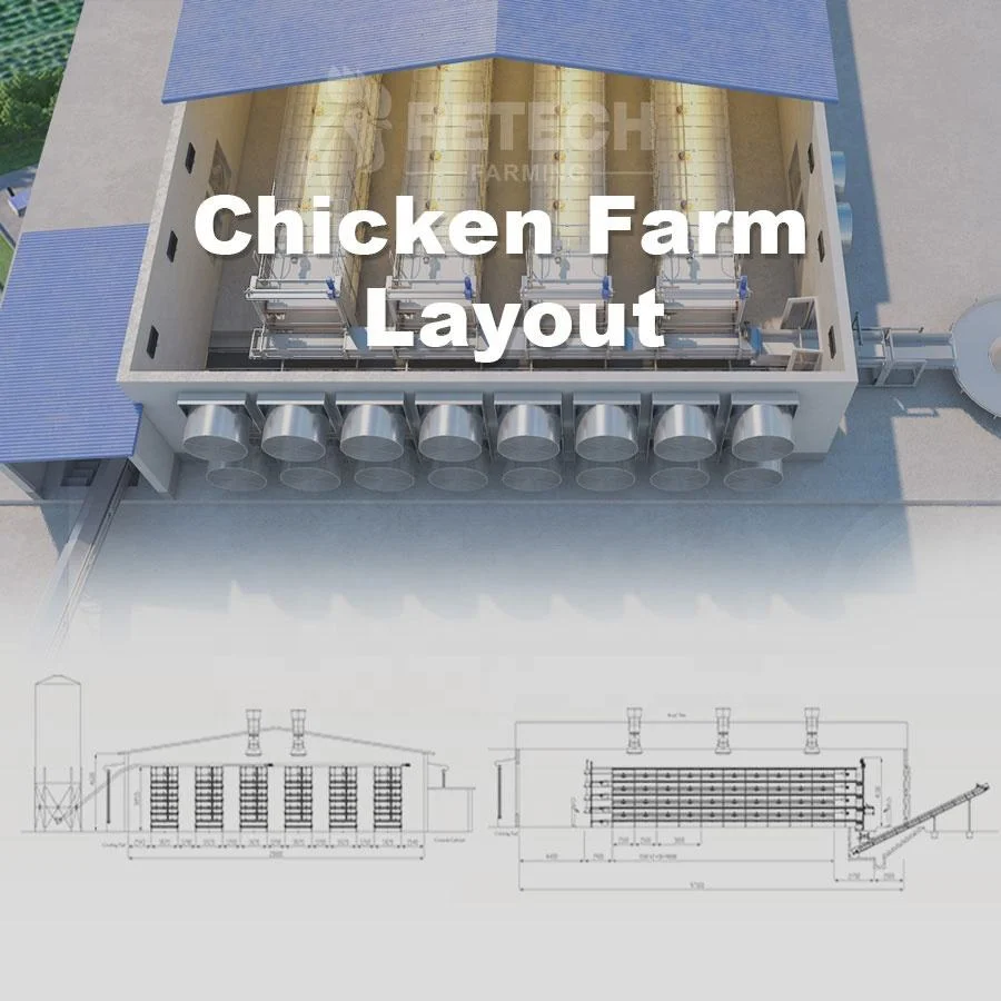Vollautomatische Broiler Chicken Farm Ausrüstung H Typ Broiler Huhn Käfig Für Geflügel