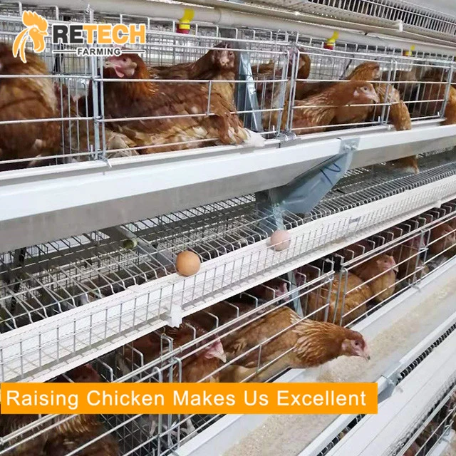 New Type H type layer rearing cage poultry equipment