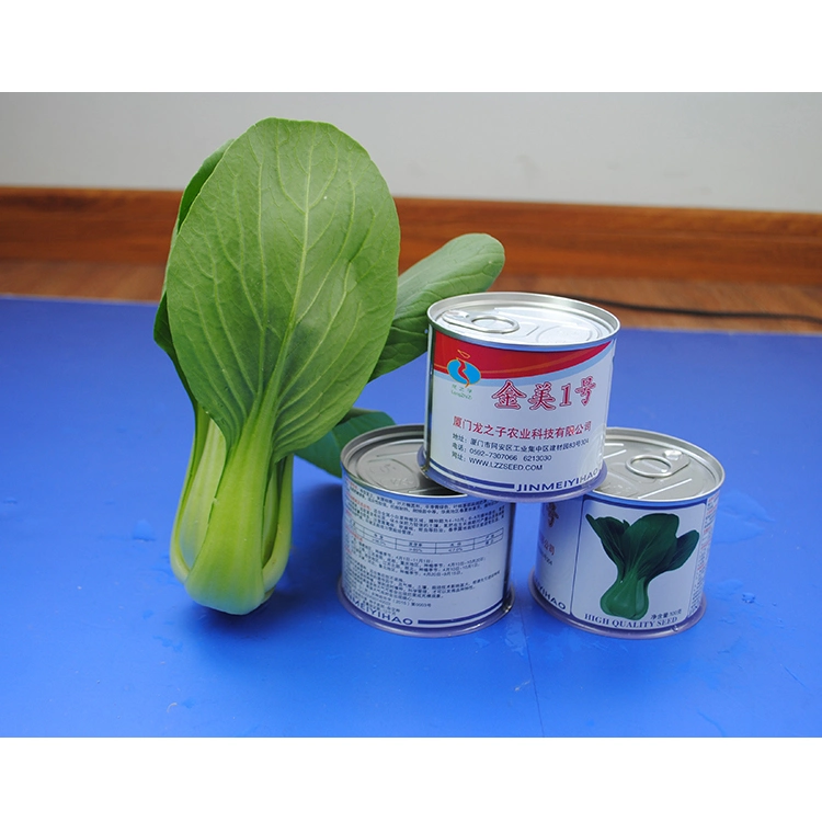 Early Maturing Upright Plant with Late Girdling Green Chinese Leafy Cabbage Seeds for Sale