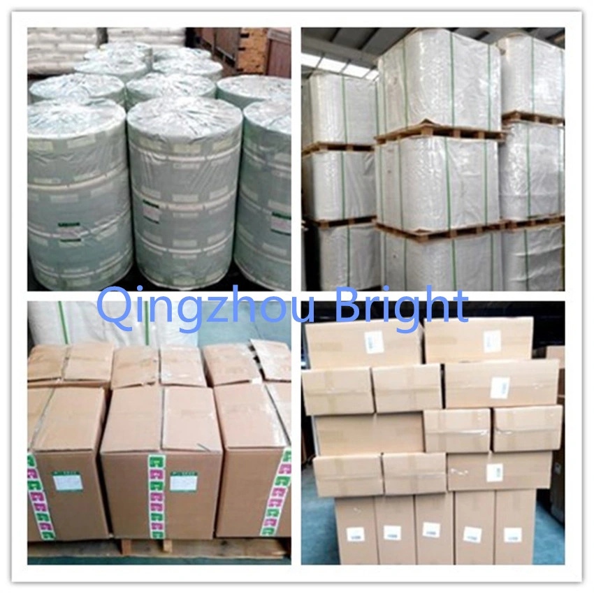 OEM Anti Leak Wrapiing Wet Wipe Bag Plastic Film in Roll Shape