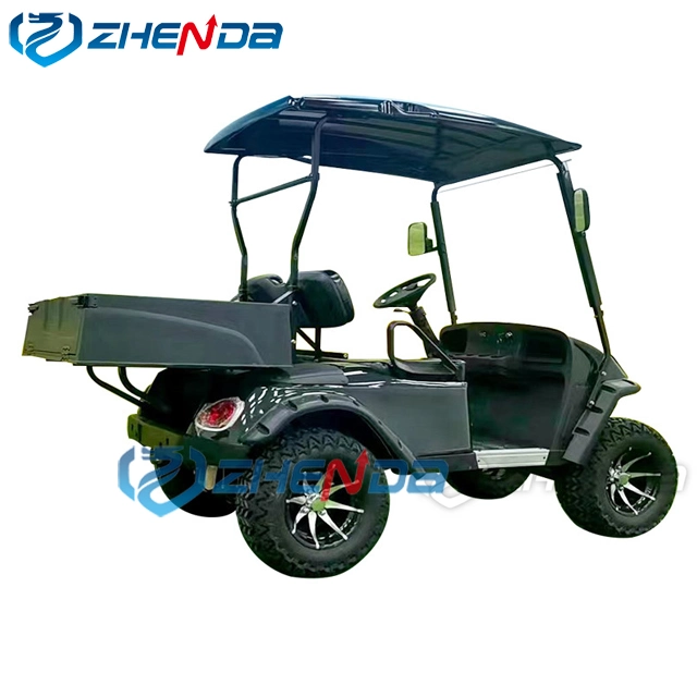 Factory Direct Sell Signal 2 Seats Mini Club Cart Lithium Battery Golf Buggy Gas Powered Golf Car Cart