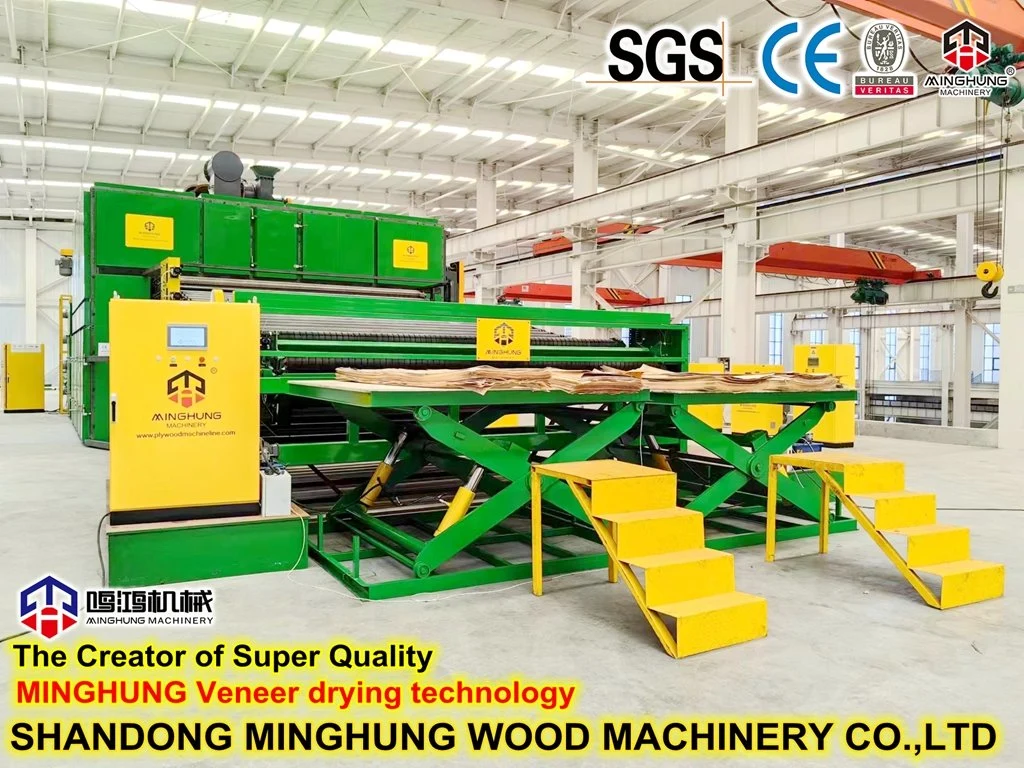 Veneer Drying Line Veneer Drying Technology for Wood Forest Machine