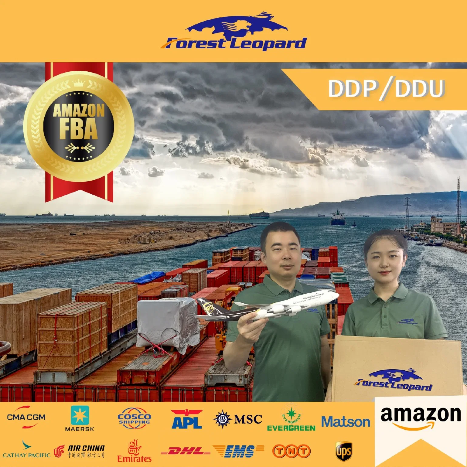 Cheapest Fast DDP Containers Freight Forwarder Rates Sea Shipping From China Shenzhen to USA Canada UK Australia