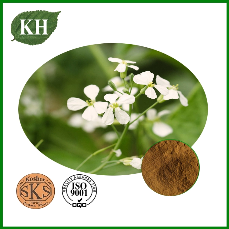 Chenopodium Ambrosioides Extract, Mexican Tea Herb Extract