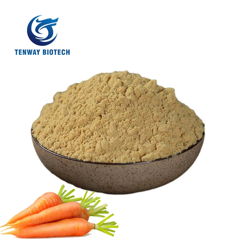 High Quality Food Ingredient Herbal Extract Food Ingredient Raw Ginger Powder