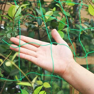 Escalada planta Net Trellis corda apoio Jardim plástico Trellis escalada Planta vegetal líquida para planta