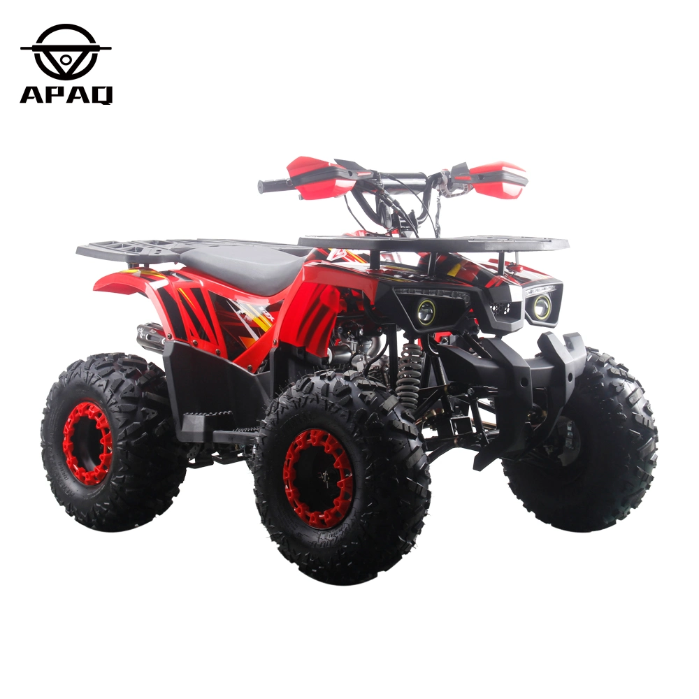 Apq125-3 Adult Quad ATV Electric Start Powerful Riding for Fun