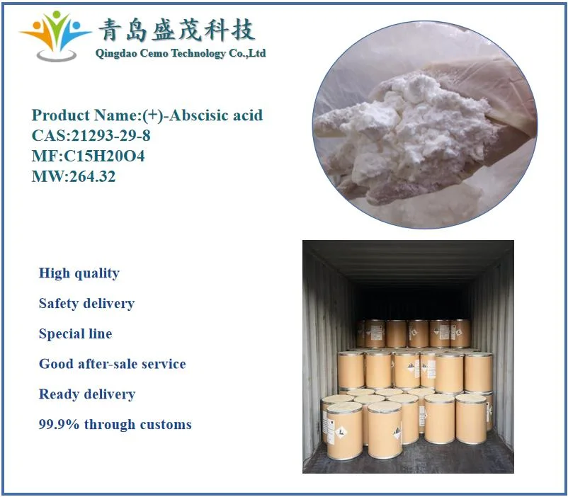 Amplio Stock (+) -El ácido abscísico CAS 21293-29-8 con alta calidad