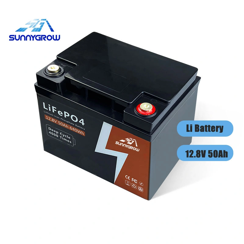 High Performance Medium Li-ion Lithium for Home Solar Batteries Pack LiFePO4 Battery