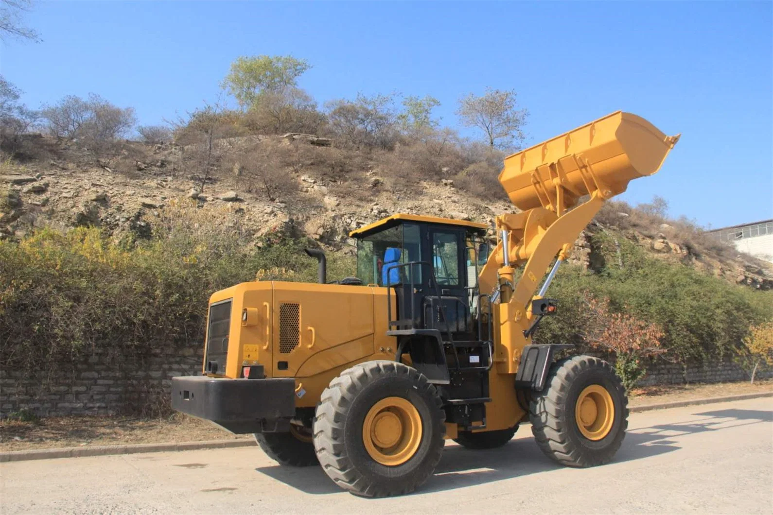 China Walker 3 Ton 5 Ton Loader Factory Wholesale Sale