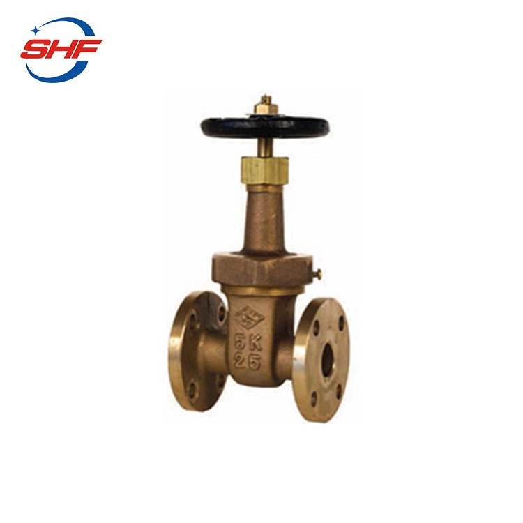 API 6D Standard Flange Class150 Rising Stem Bronze C95800 Gate Valve