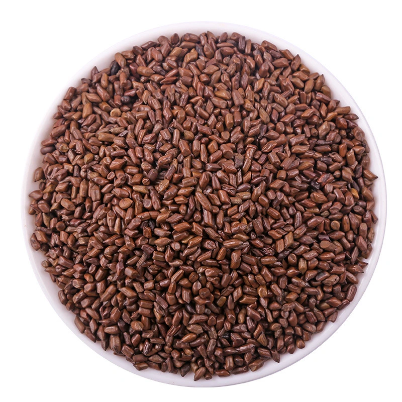 High Quality Chinese Herb Medicine Dried Cassia Seeds Semen Cassiae for Health Care