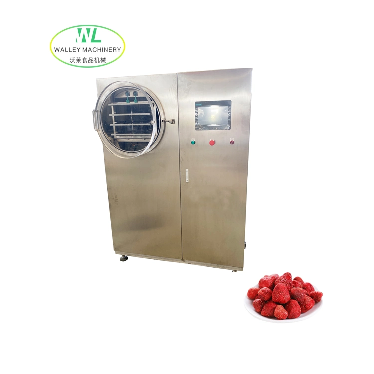 Factory Price Lyophilizer Lab Vacuum Freeze Dryer