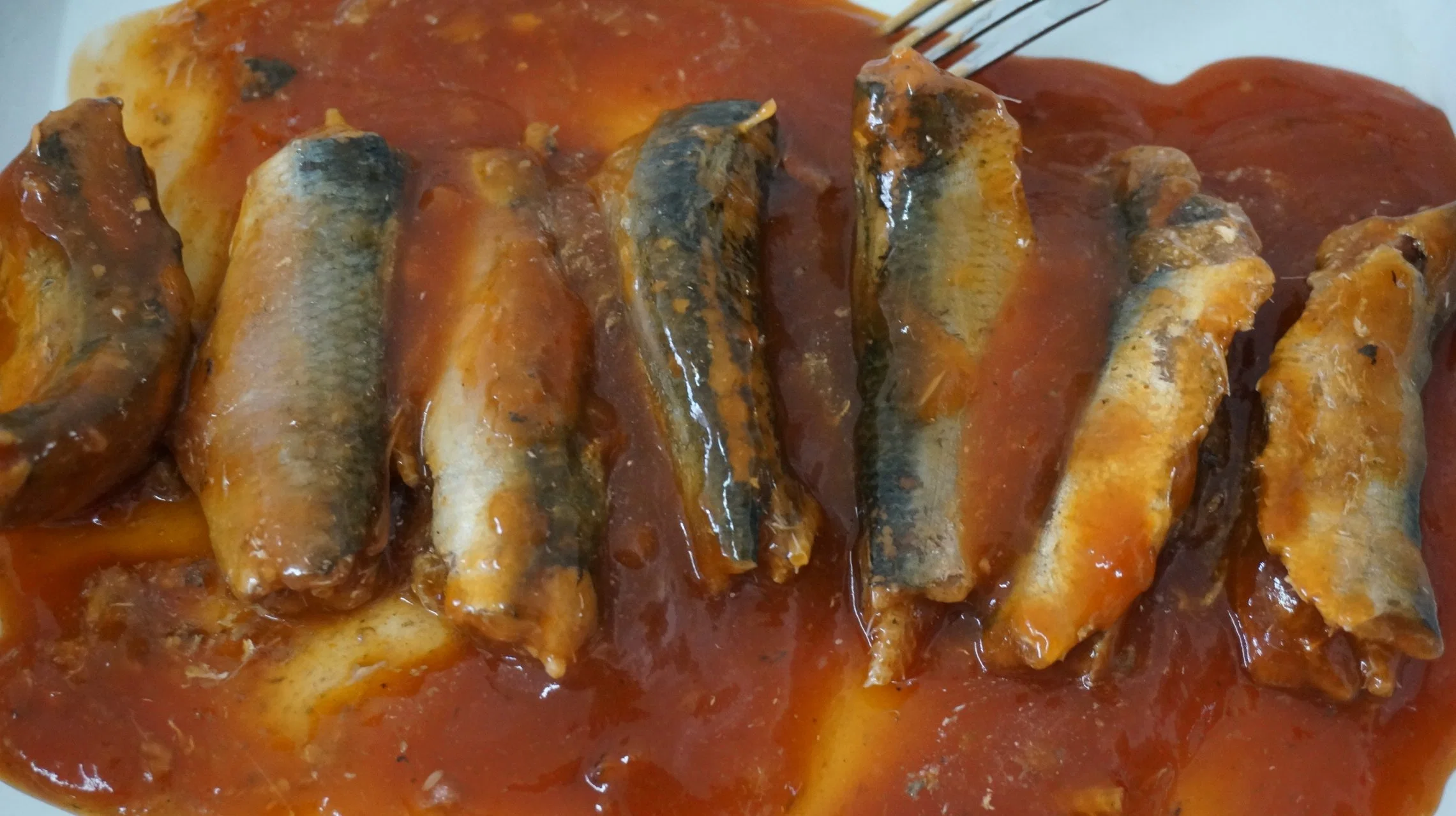 Fresh Meat Canned Sardine in Tomato Sauce and Able to Be Eaten by Pets