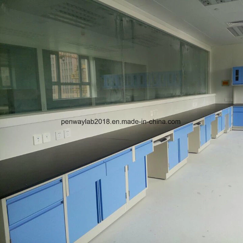 Metal Floor Mounted Lab Bench Science Lab Furniture for Schools