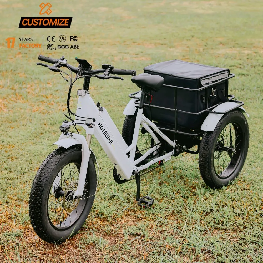 Factory Custom Electric Tricycles 20inch Fat Tire Three Wheel Electric Bike Trike for Sale