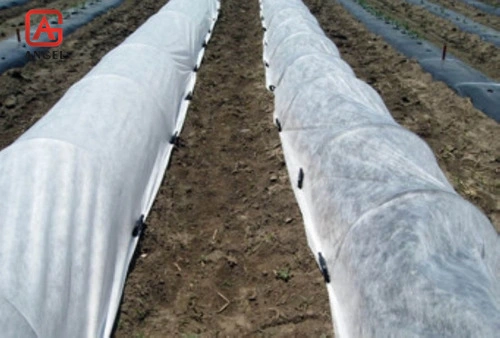 Waterproof Agriculture Fabric Agriculture PP Non Woven Fabric Agricultural Product