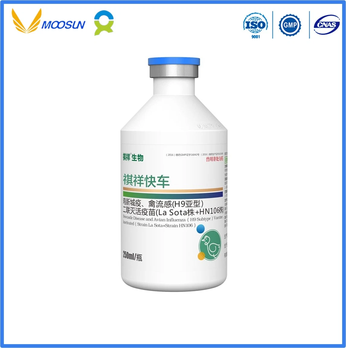 Veterinary Use Vaccine with GMP Avian Pasteurella Multocida Vaccine, Inactivated (Strain 1502) for Poultry