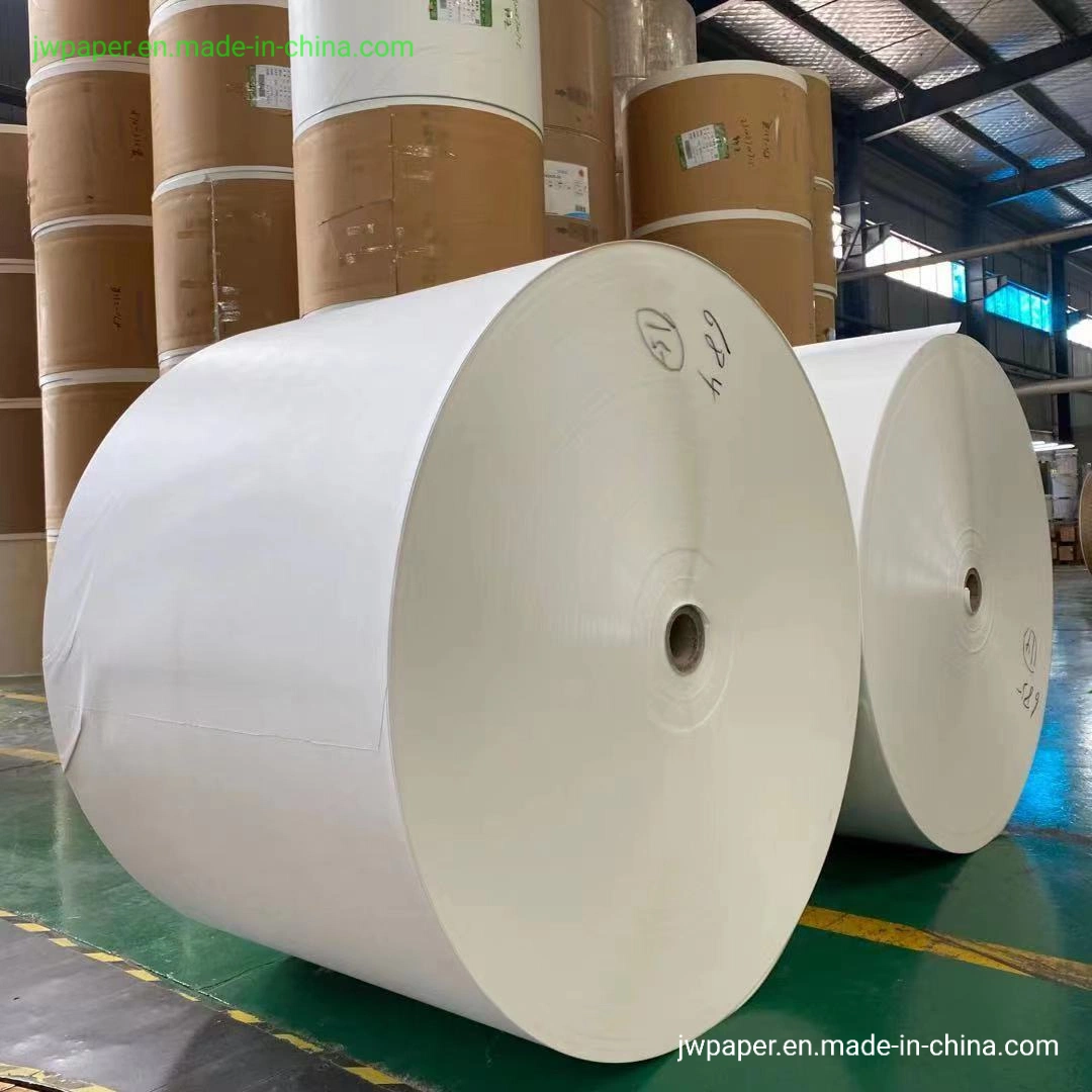 Disposable Paper Cups Rolls/Bottom Round Paper Fan