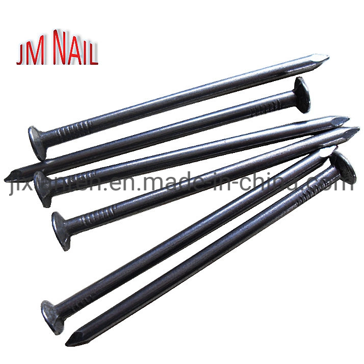 Common Nail/Building Nail/Wire Nail/Construction Nail/Iron Nail/Steel Nail