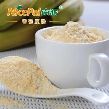 Banana Concentrate Powder for Beverage