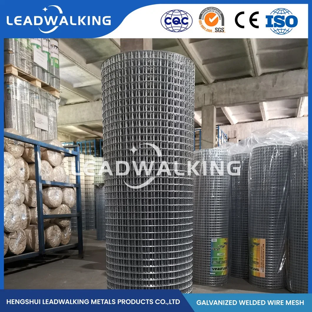 Leadwalking Welded Wire Mesh Roll Factory High-Quality Welded Square Wire Mesh China 2"X2" Inch Electric Galvanized Welded Wire Mesh