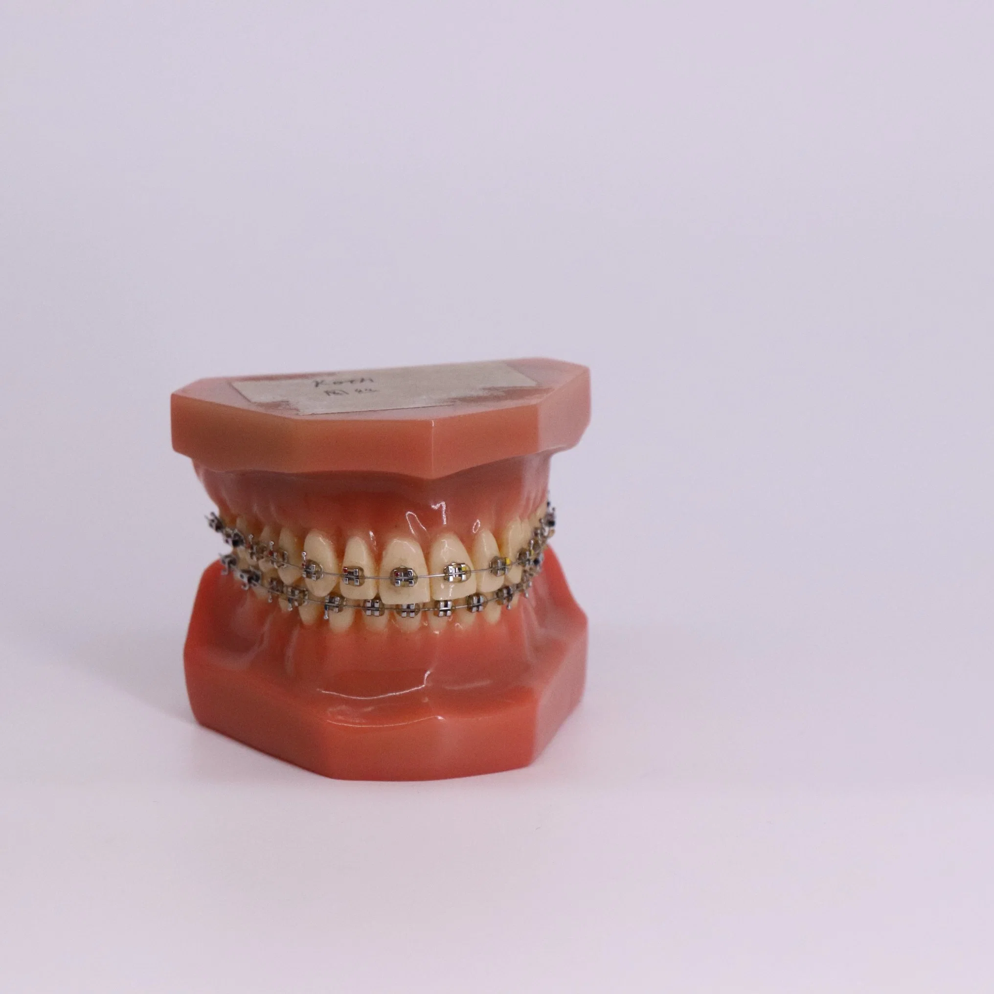 Estudio de la enseñanza de la formación práctica de la anatomía dental dientes modelo de plástico