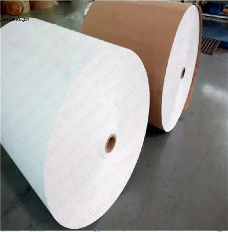 Food Grade, Single/Double Side PE Coated Paper Cup Blank