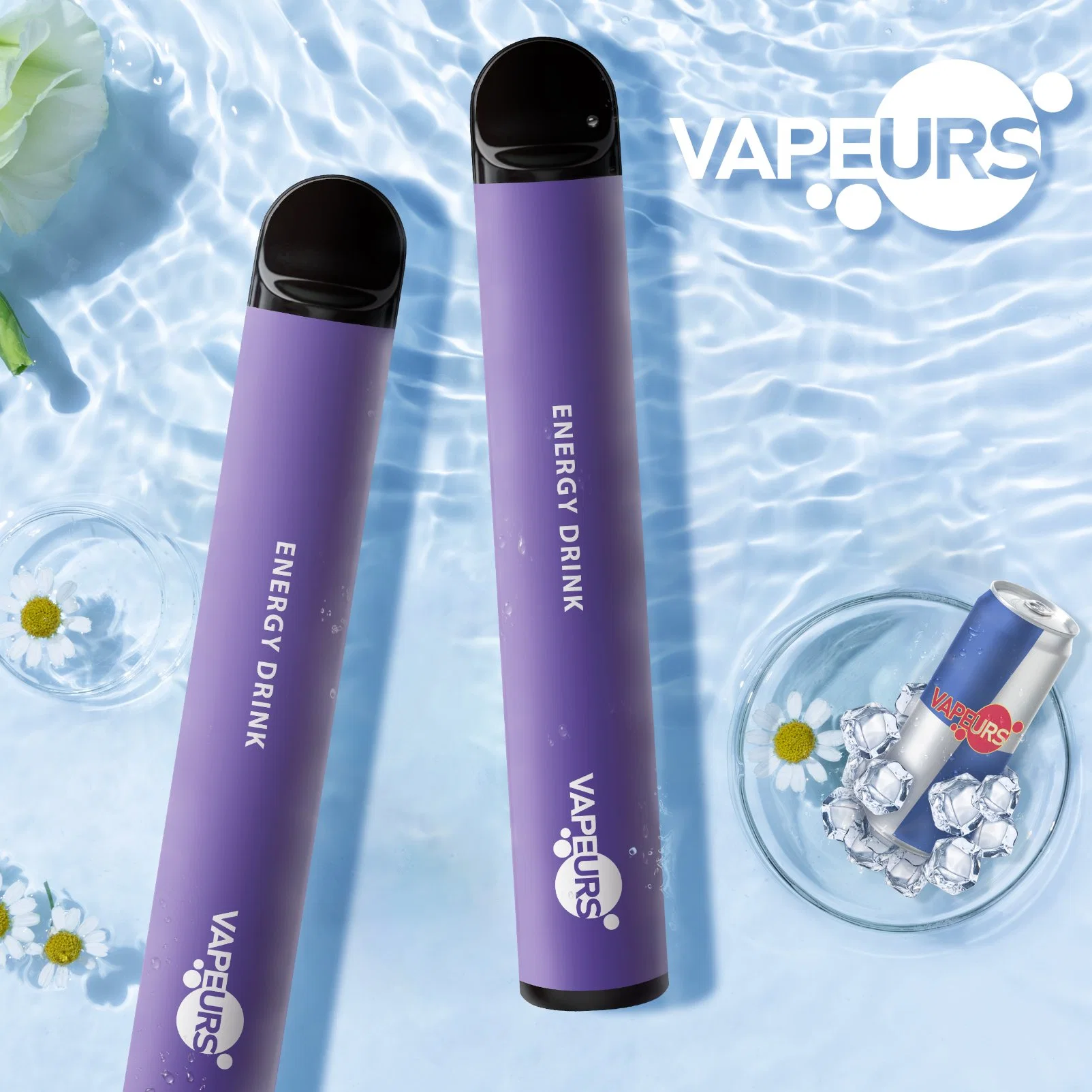 Vapeurs certificados TPD 2ml Pods 600 Puff desechable VAPE Pen