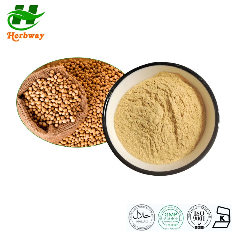 Herbway Natural Glycine Max. Soybean Extract 10%-80% Soy Isoflavones Powder