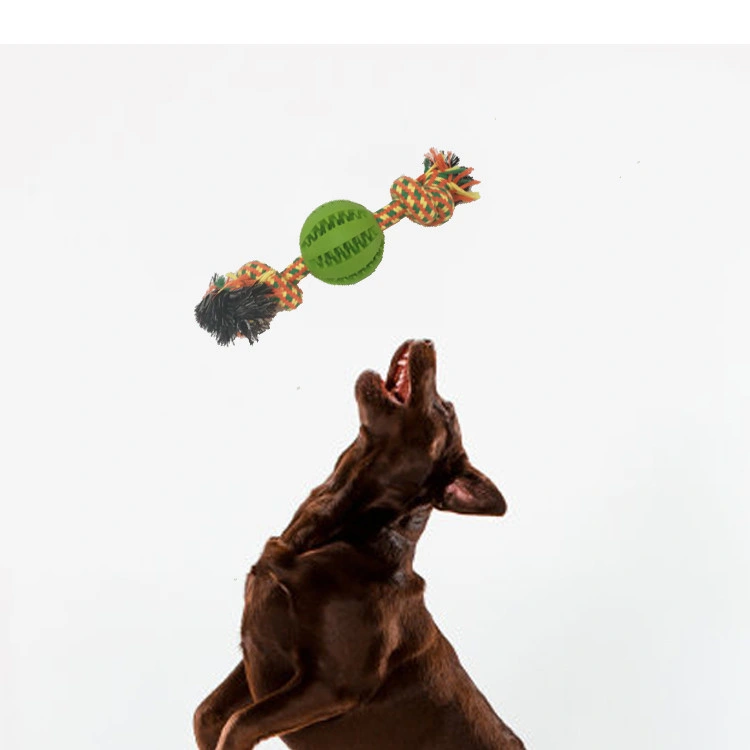 Supplier Free Sample Rubber Bite Interactive Pet Ball Chew Dog Toy