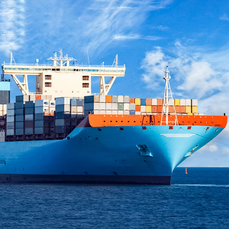 Sea Shipping Agent in Shenzhen China Door to Door Freight Forwarder to Manila Philippines