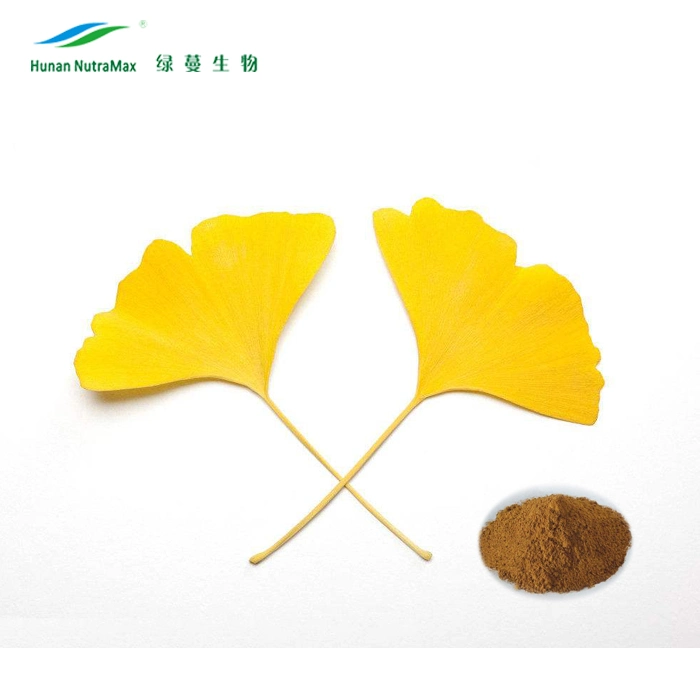 USP Ginkgo Biloba extrait de feuille standard avec 98 % de l'acide shikimique