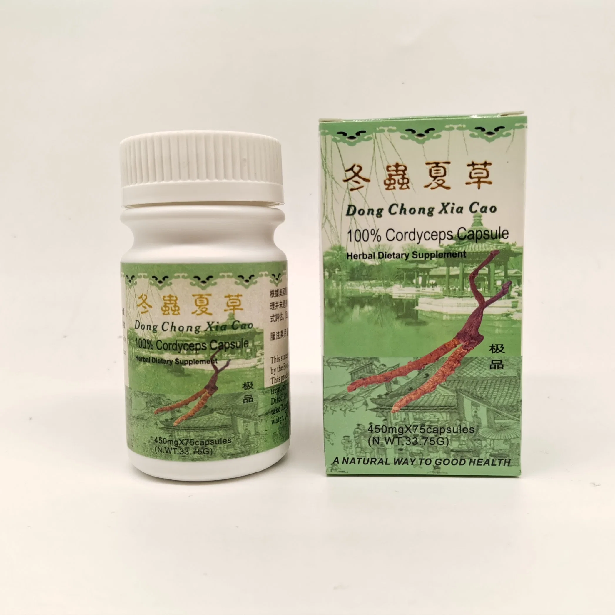 Stärken Gesundheit Regulierende Immunität 100% Reine Cordyceps Cordyceps Kapsel