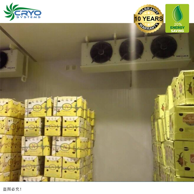 Frozen Salmon Heads Fresh Chicken Table Eggs Cold Rooms Guangzhou Ice Cream Cold Storage Room Cold Storage System