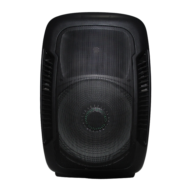 15 Inch Professional Loudspeaker with Microphone Input